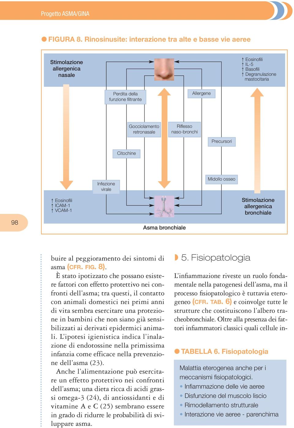 retronasale Riflesso naso-bronchi Precursori Citochine Infezione virale Midollo osseo 9 Eosinofili ICAM- VCAM- Asma bronchiale Stimolazione allergenica bronchiale buire al peggioramento dei sintomi