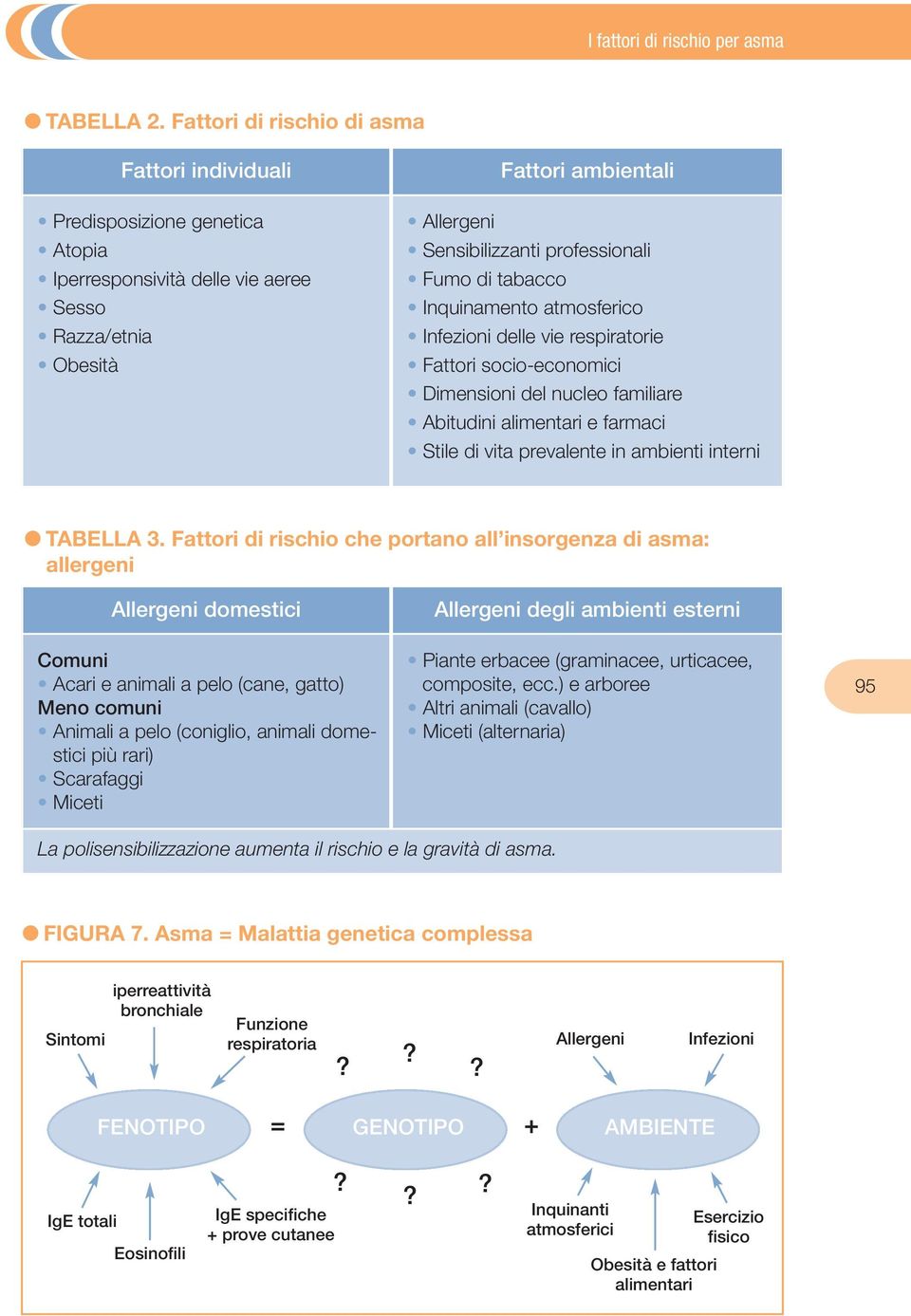 Fumo di tabacco Inquinamento atmosferico Infezioni delle vie respiratorie Fattori socio-economici Dimensioni del nucleo familiare Abitudini alimentari e farmaci Stile di vita prevalente in ambienti