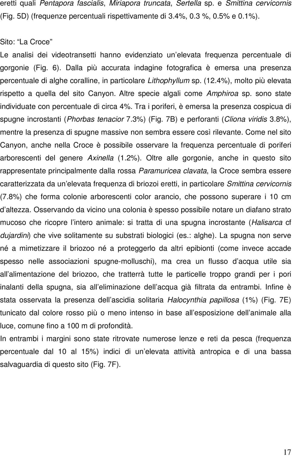 Dalla più accurata indagine fotografica è emersa una presenza percentuale di alghe coralline, in particolare Lithophyllum sp. (12.4%), molto più elevata rispetto a quella del sito Canyon.