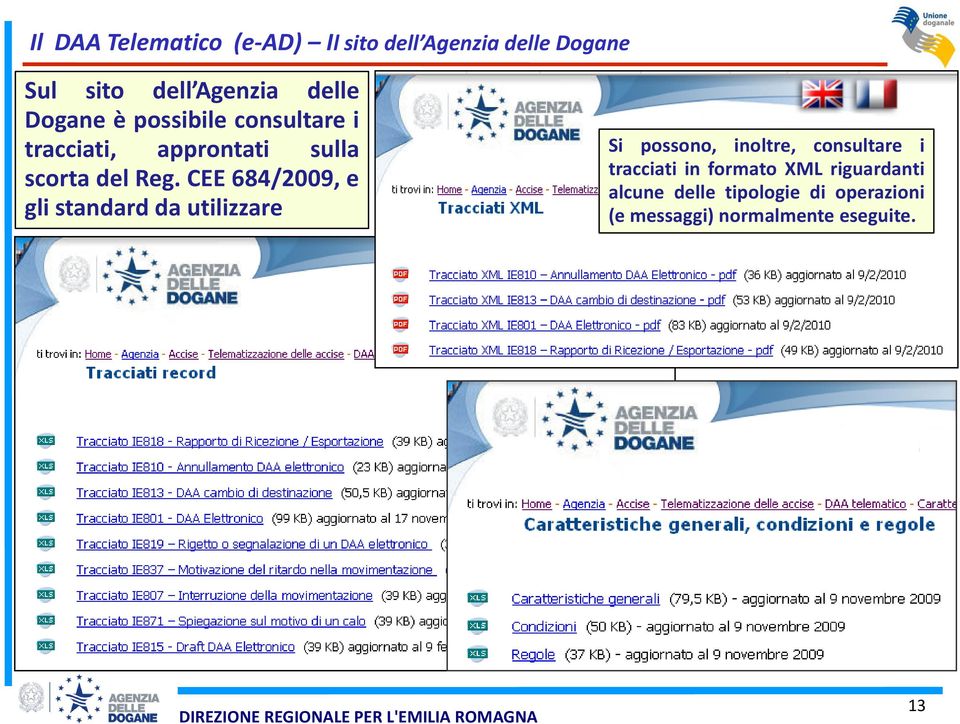 CEE 684/2009, e gli standard da utilizzare Si possono, inoltre, consultare i tracciati