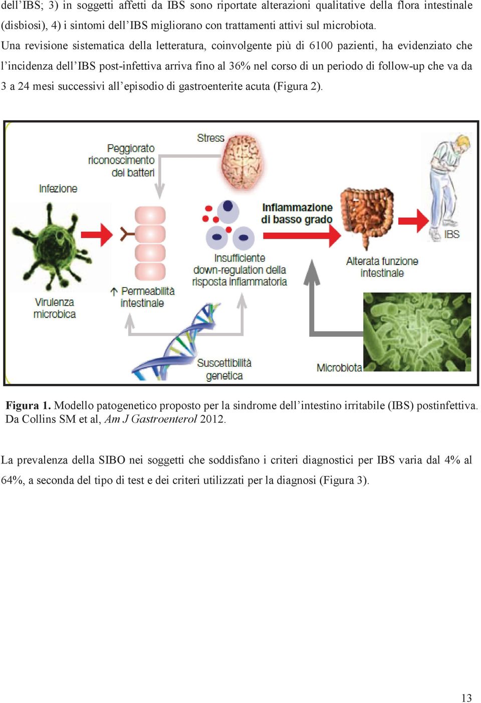 da 3 a 24 mesi successivi all episodio di gastroenterite acuta (Figura 2). Figura 1. Modello patogenetico proposto per la sindrome dell intestino irritabile (IBS) postinfettiva.