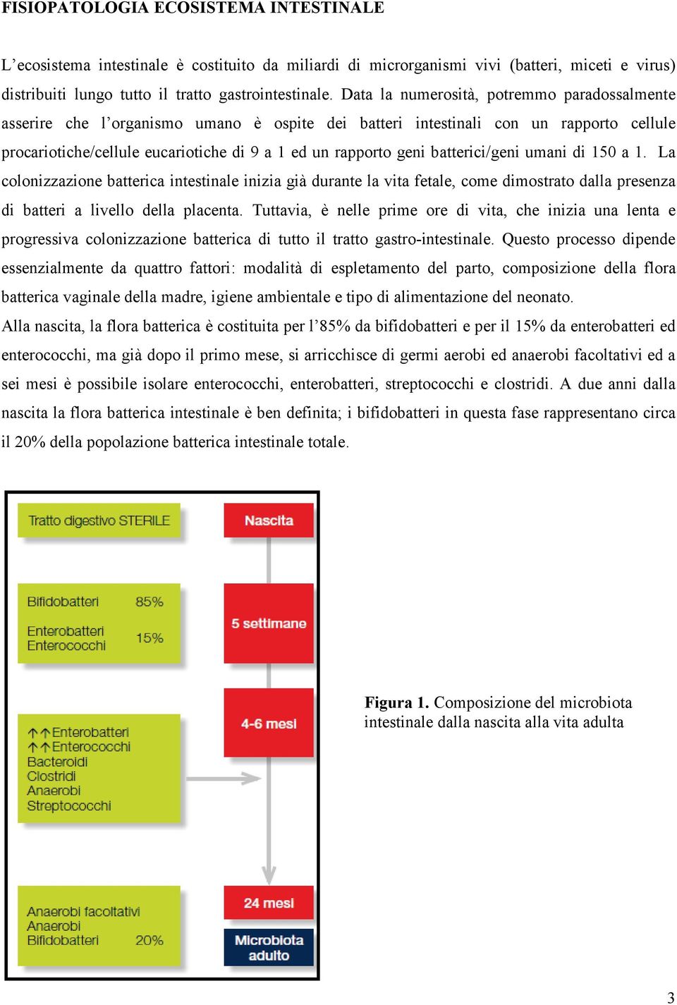 batterici/geni umani di 150 a 1. La colonizzazione batterica intestinale inizia già durante la vita fetale, come dimostrato dalla presenza di batteri a livello della placenta.