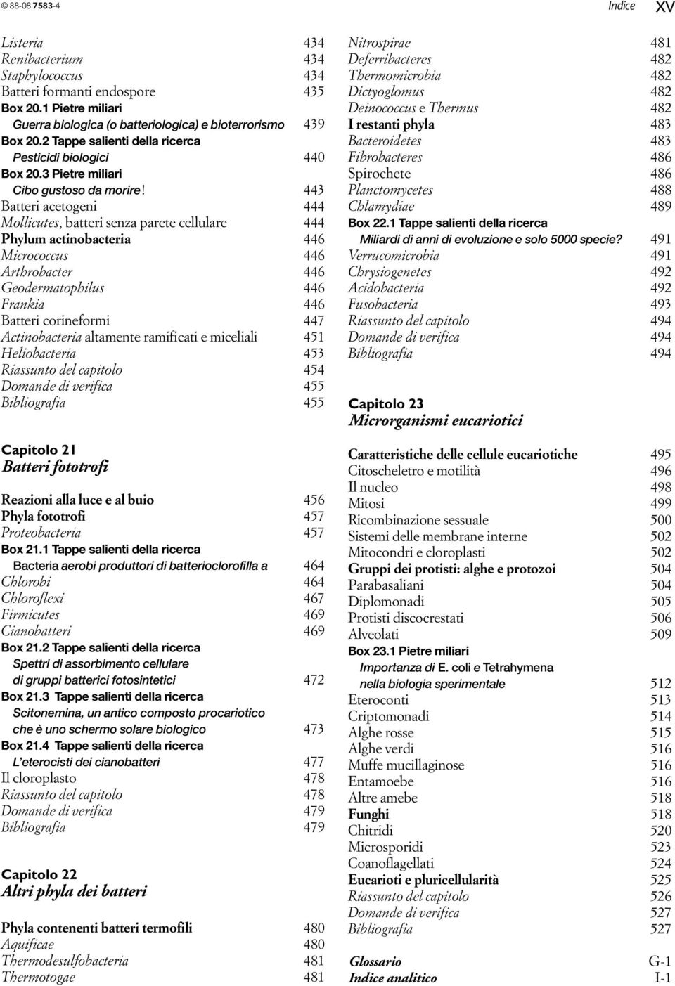 443 Batteri acetogeni 444 Mollicutes, batteri senza parete cellulare 444 Phylum actinobacteria 446 Micrococcus 446 Arthrobacter 446 Geodermatophilus 446 Frankia 446 Batteri corineformi 447