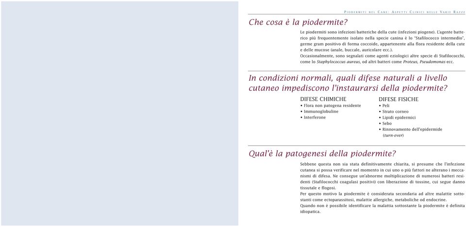 (anale, buccale, auricolare ecc.). Occasionalmente, sono segnalati come agenti eziologici altre specie di Stafilococchi, come lo Staphylococcus aureus, od altri batteri come Proteus, Pseudomonas ecc.