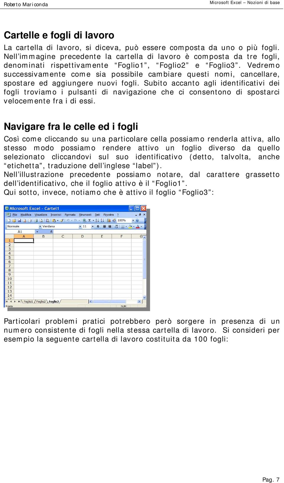 Vedremo successivamente come sia possibile cambiare questi nomi, cancellare, spostare ed aggiungere nuovi fogli.