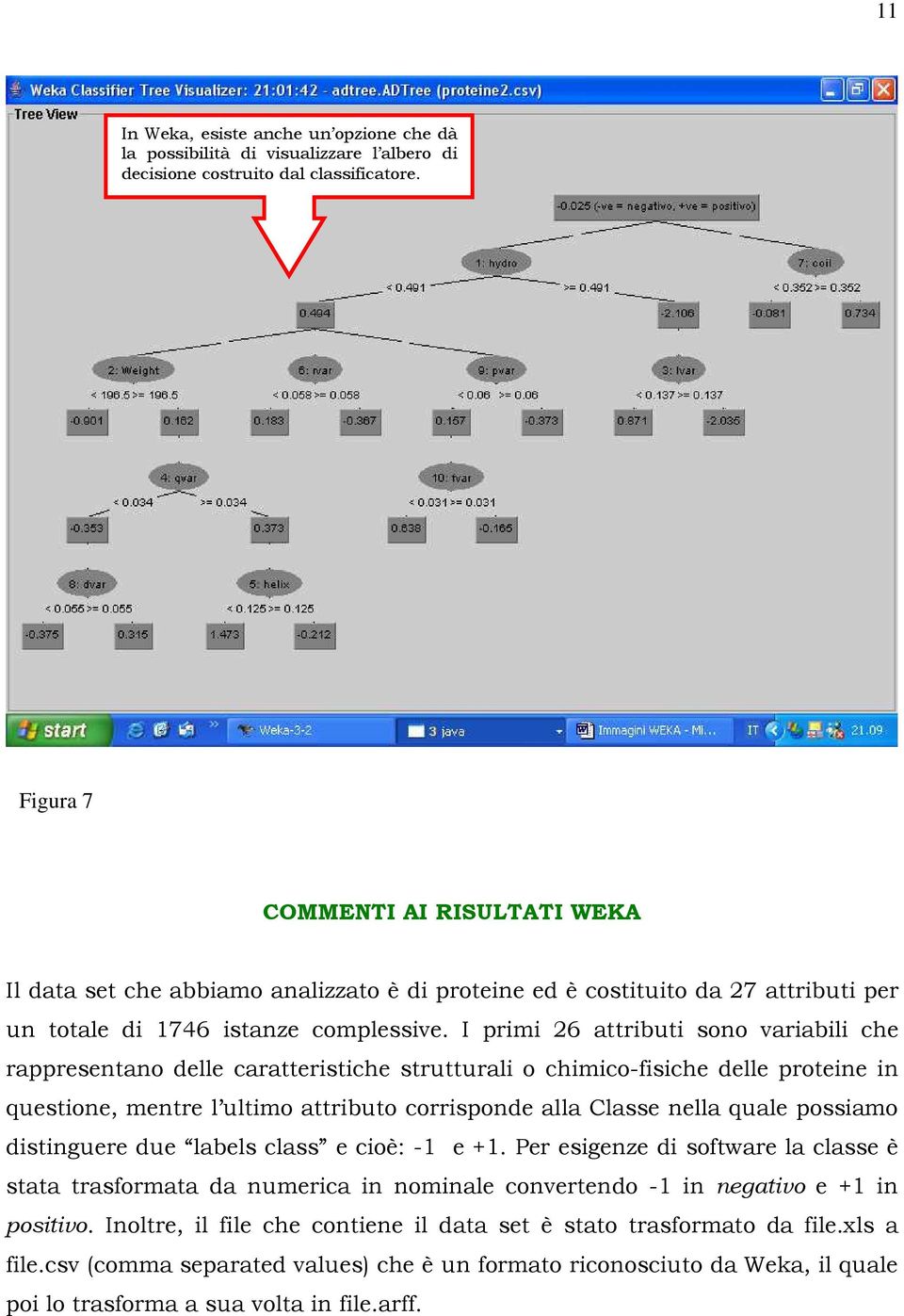 I primi 26 attributi sono variabili che rappresentano delle caratteristiche strutturali o chimico-fisiche delle proteine in questione, mentre l ultimo attributo corrisponde alla Classe nella quale