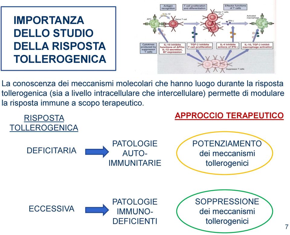 risposta immune a scopo terapeutico.