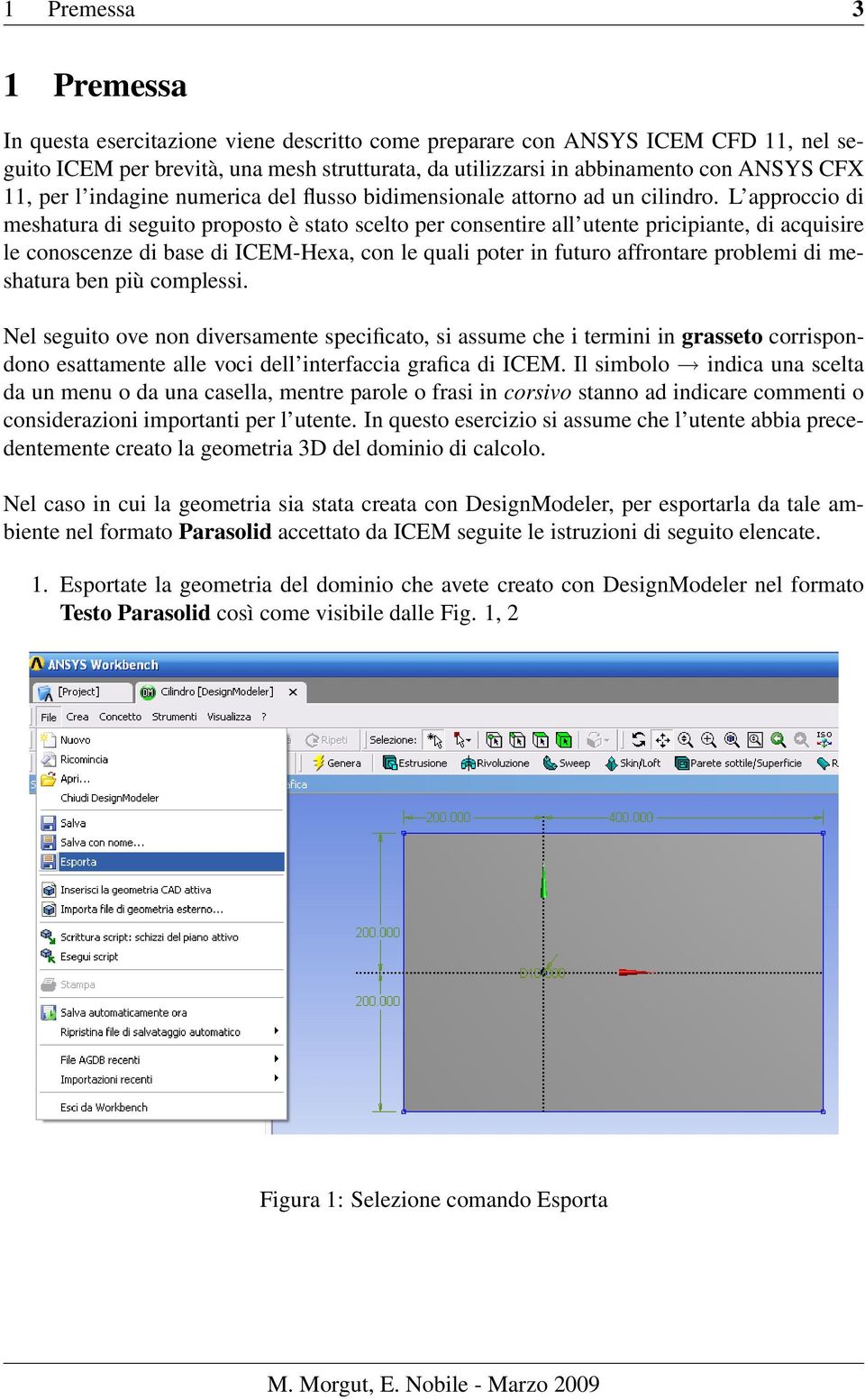 L approccio di meshatura di seguito proposto è stato scelto per consentire all utente pricipiante, di acquisire le conoscenze di base di ICEM-Hexa, con le quali poter in futuro affrontare problemi di