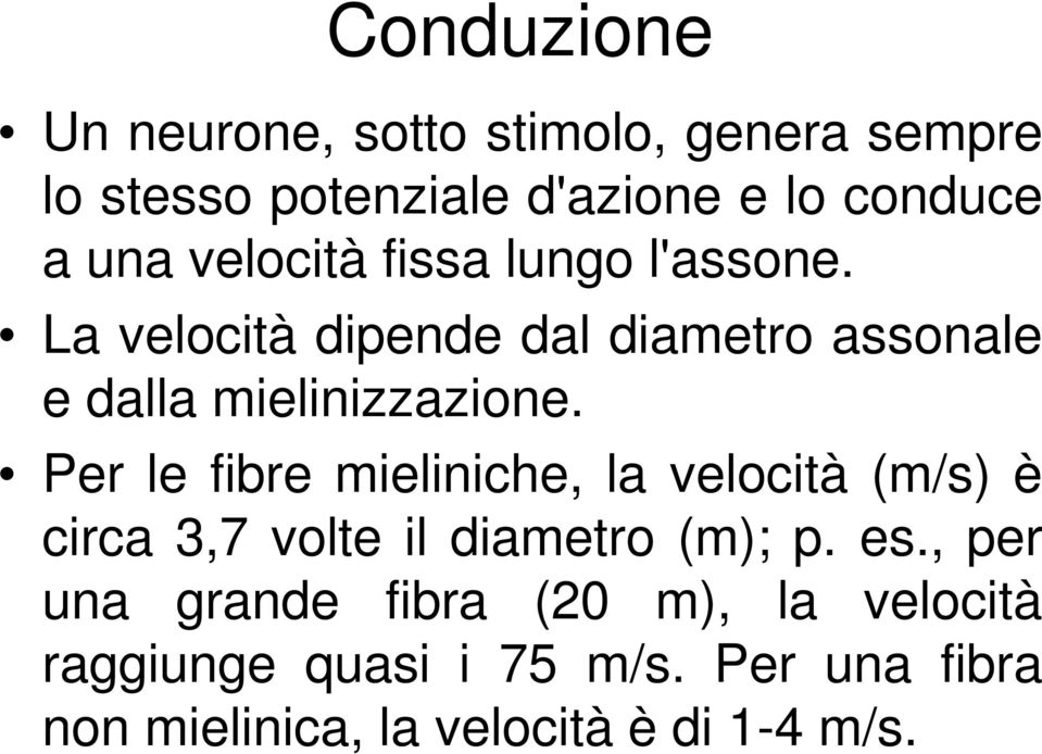 Per le fibre mieliniche, la velocità (m/s) è circa 3,7 volte il diametro (m); p. es.