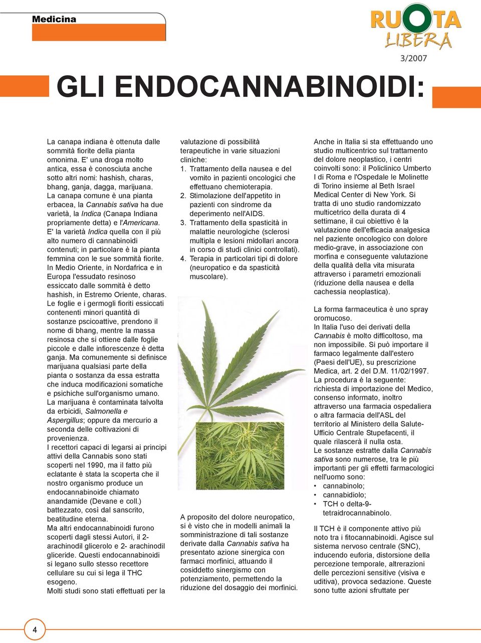 La canapa comune è una pianta erbacea, la Cannabis sativa ha due varietà, la Indica (Canapa Indiana propriamente detta) e l'americana.