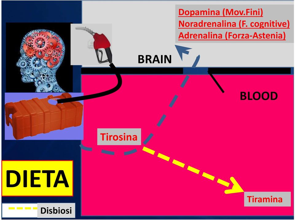 cognitive) Adrenalina