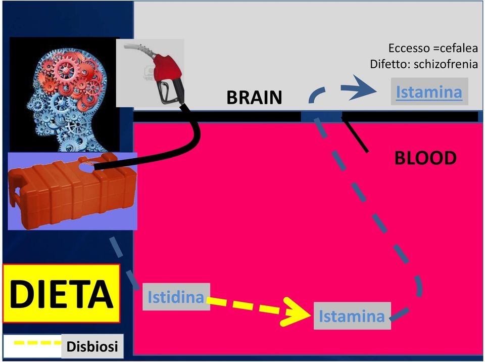 Istamina BLOOD DIETA