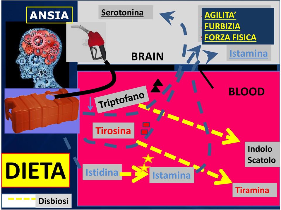 FISICA Istamina BLOOD Tirosina DIETA