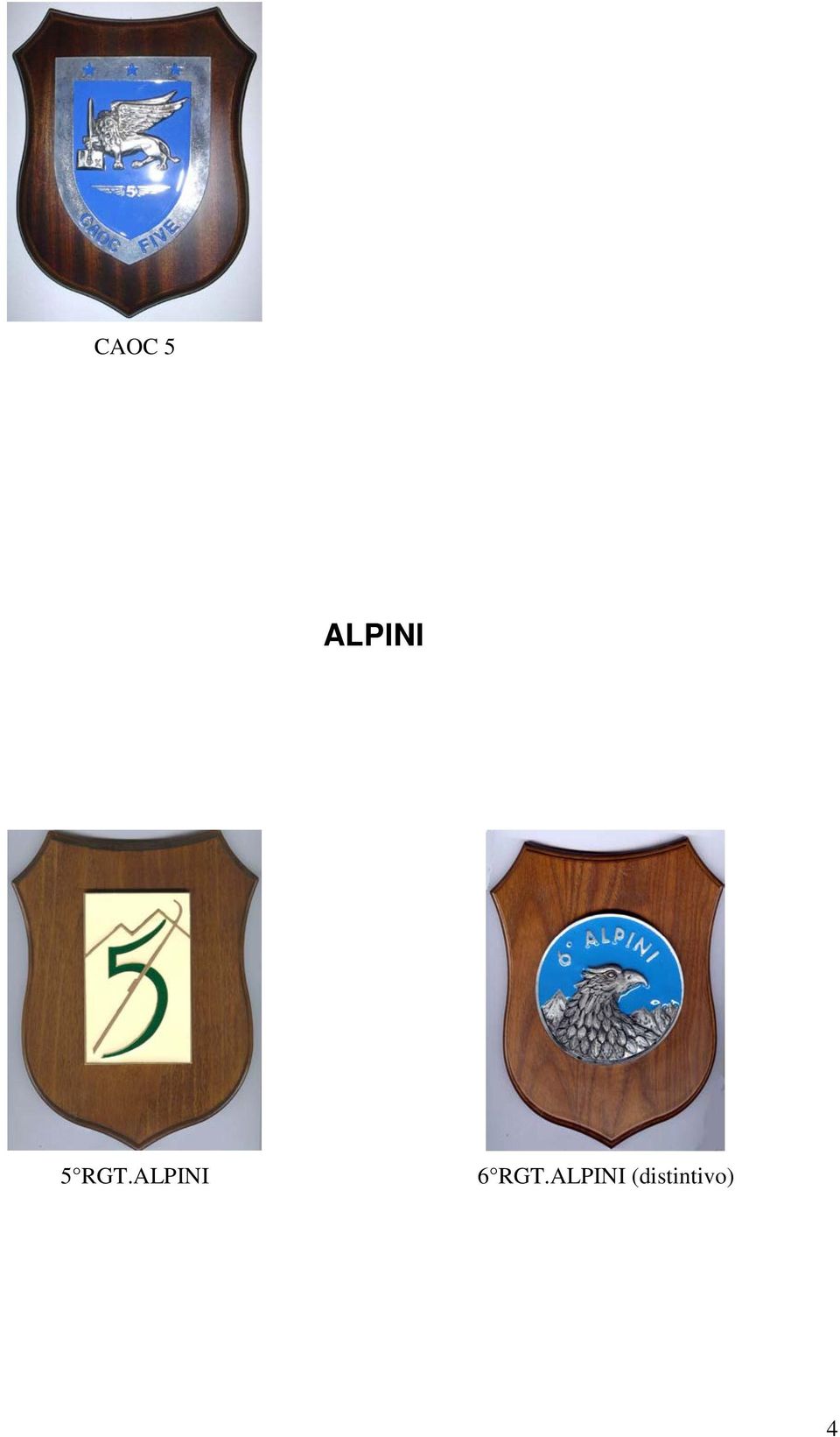 ALPINI 6 RGT.