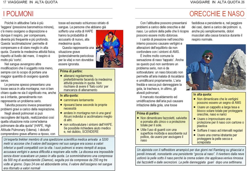 Nel sangue avvengono altre modificazioni che il soggetto nota meno, sempre con lo scopo di portare una maggior quantità di ossigeno quando serve.