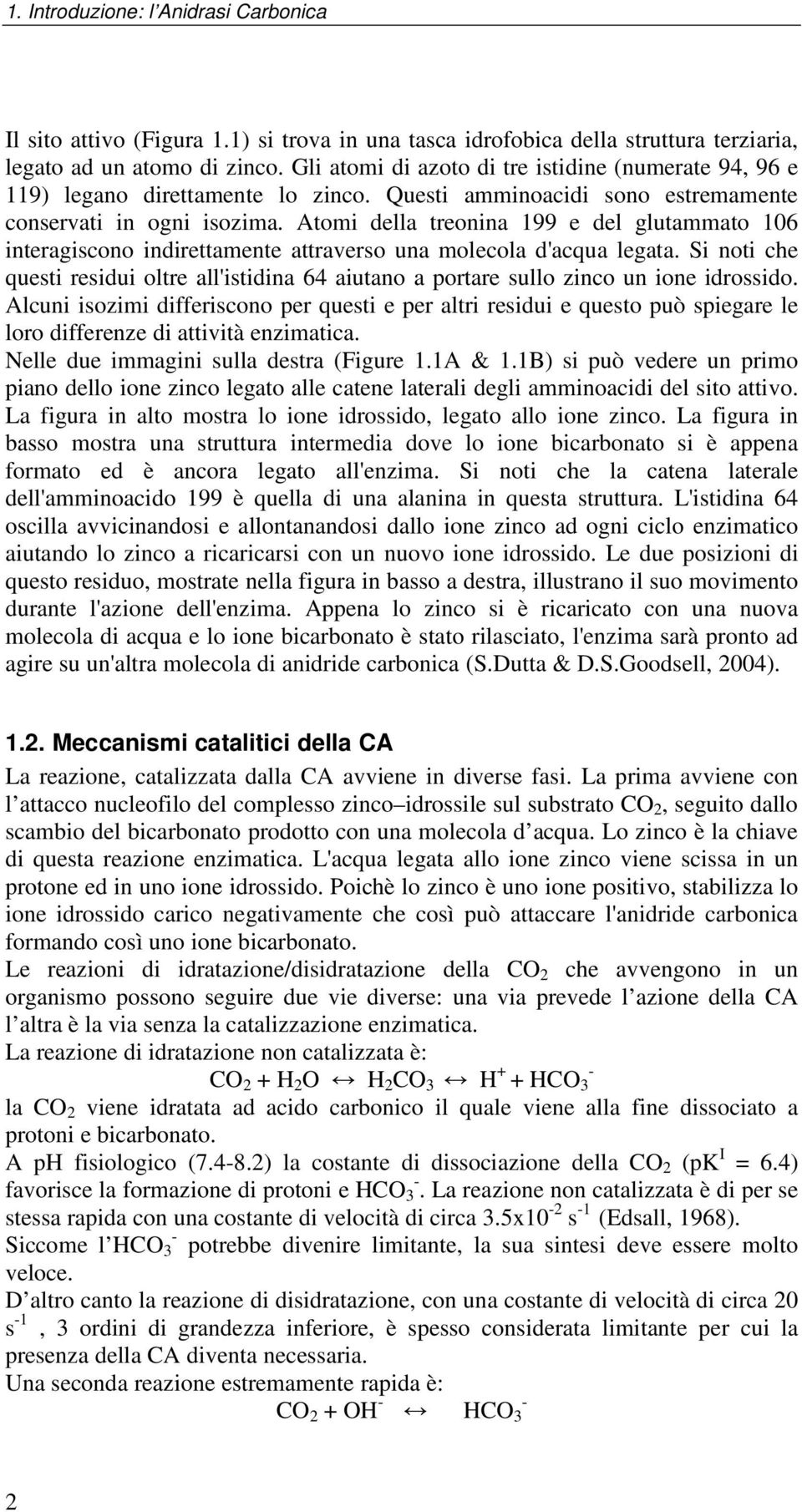 Atomi della treonina 199 e del glutammato 106 interagiscono indirettamente attraverso una molecola d'acqua legata.