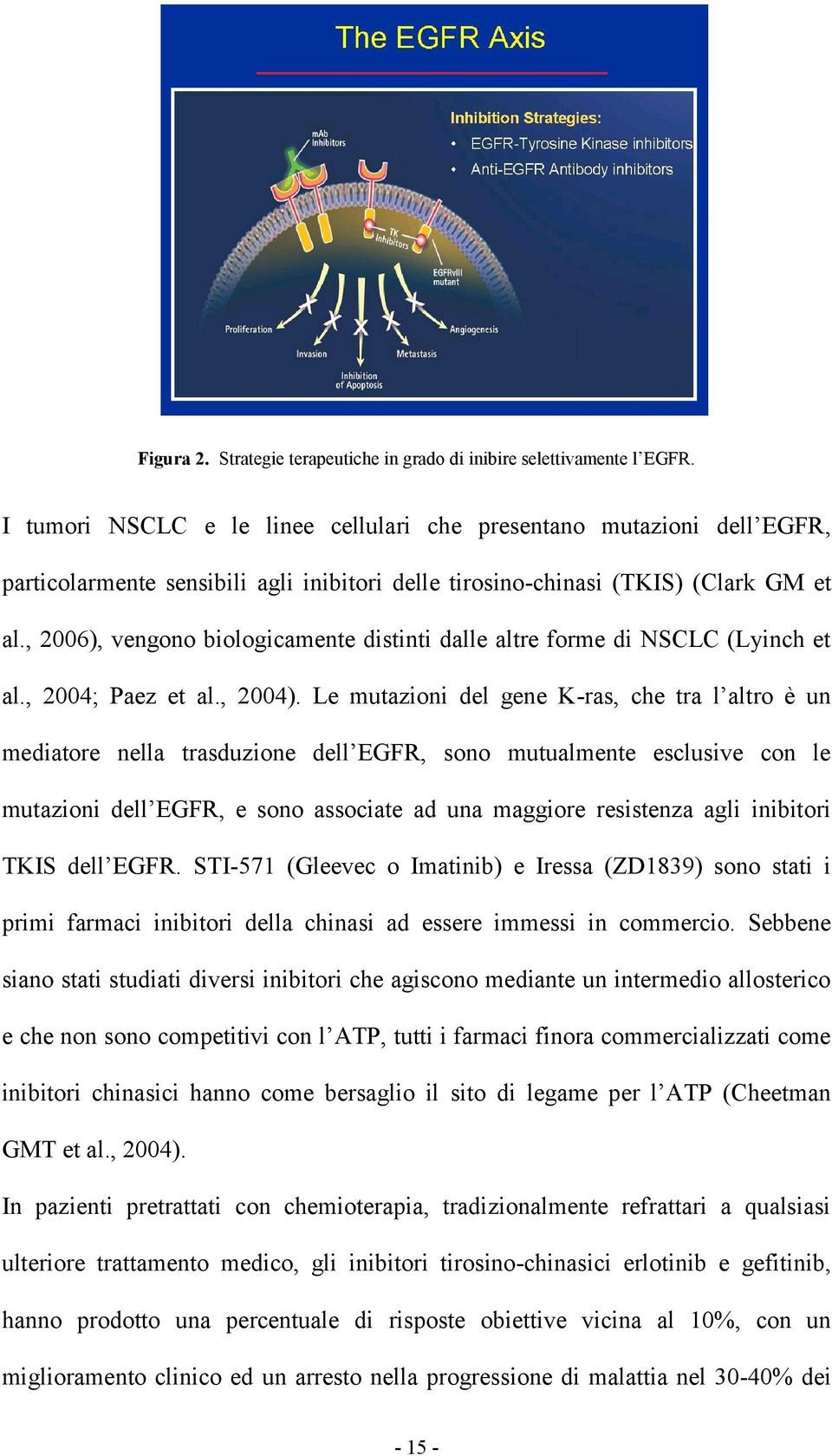 , 2006), vengono biologicamente distinti dalle altre forme di NSCLC (Lyinch et al., 2004; Paez et al., 2004).