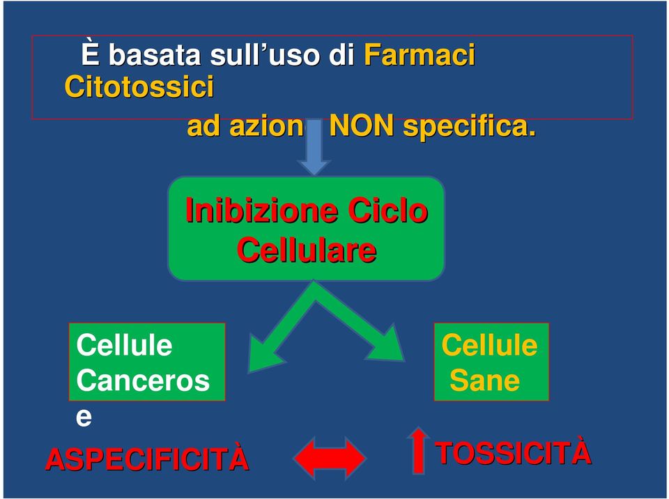 Inibizione Ciclo Cellulare Cellule