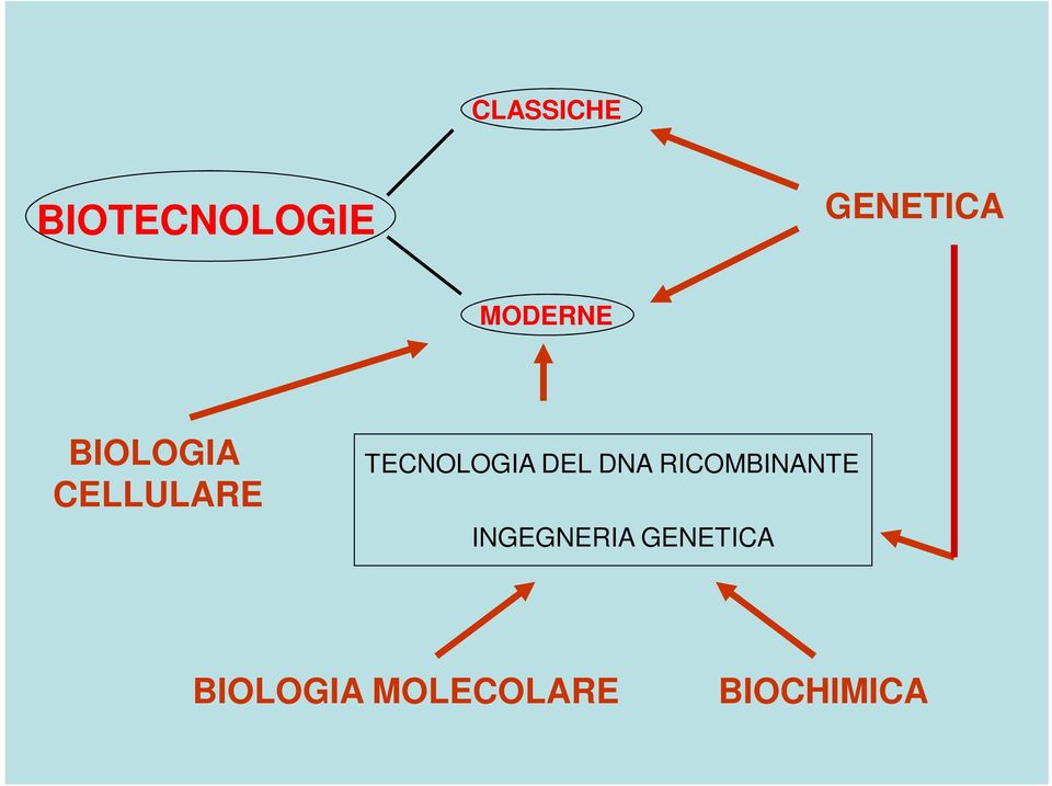 TECNOLOGIA DEL DNA RICOMBINANTE