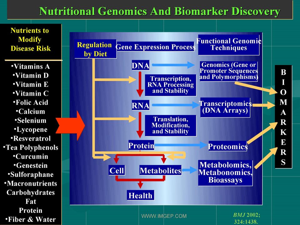 Process Techniques by Diet DNA Transcription, RNA Processing and Stability Genomics (Gene or Promoter Sequences and Polymorphisms) Transcriptomics (DNA Arrays) RNA