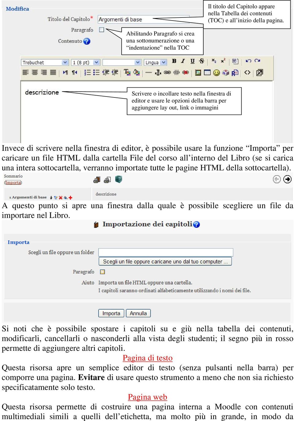 immagini Invece di scrivere nella finestra di editor, è possibile usare la funzione Importa per caricare un file HTML dalla cartella File del corso all interno del Libro (se si carica una intera