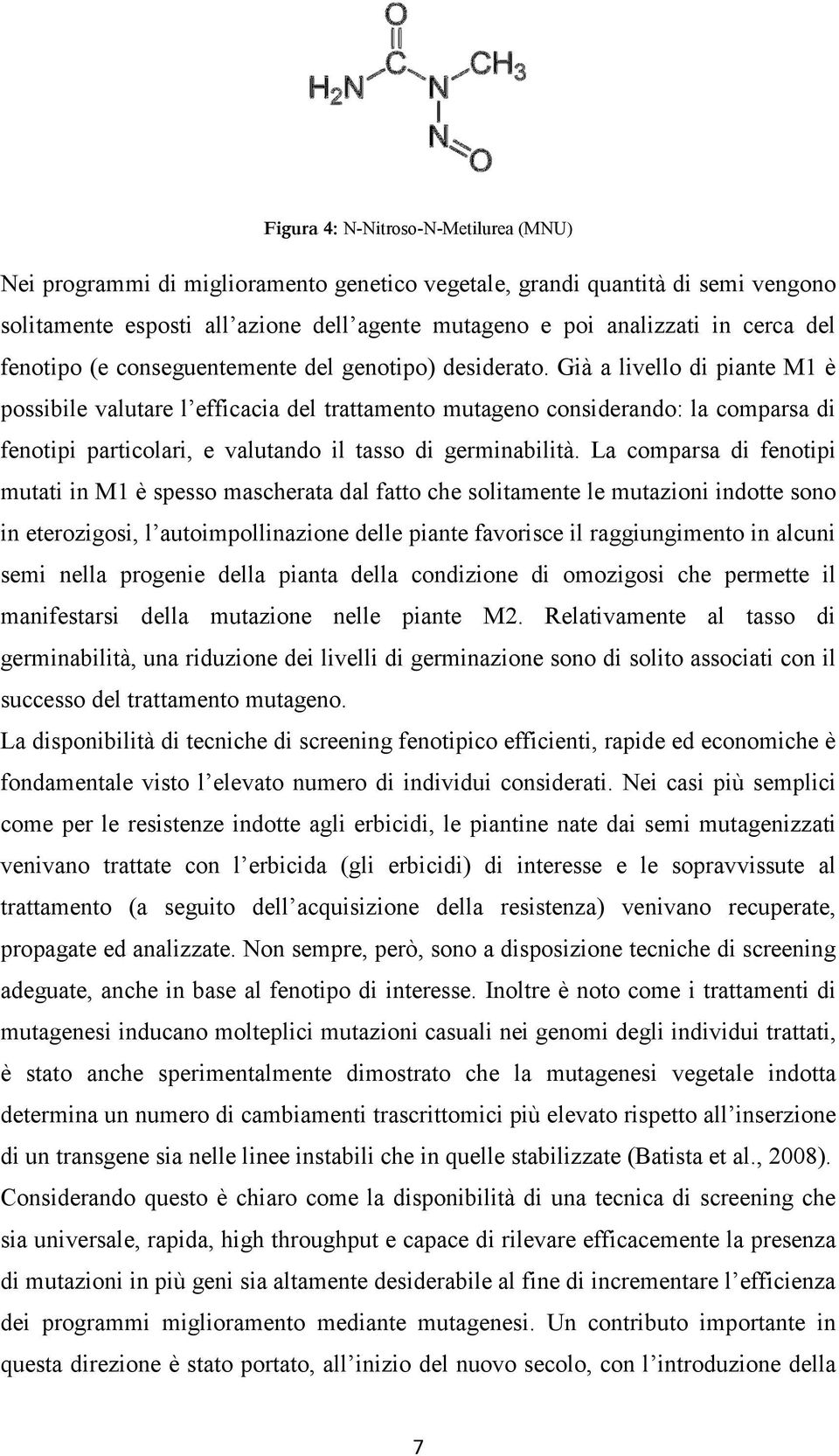 Già a livello di piante M1 è possibile valutare l efficacia del trattamento mutageno considerando: la comparsa di fenotipi particolari, e valutando il tasso di germinabilità.