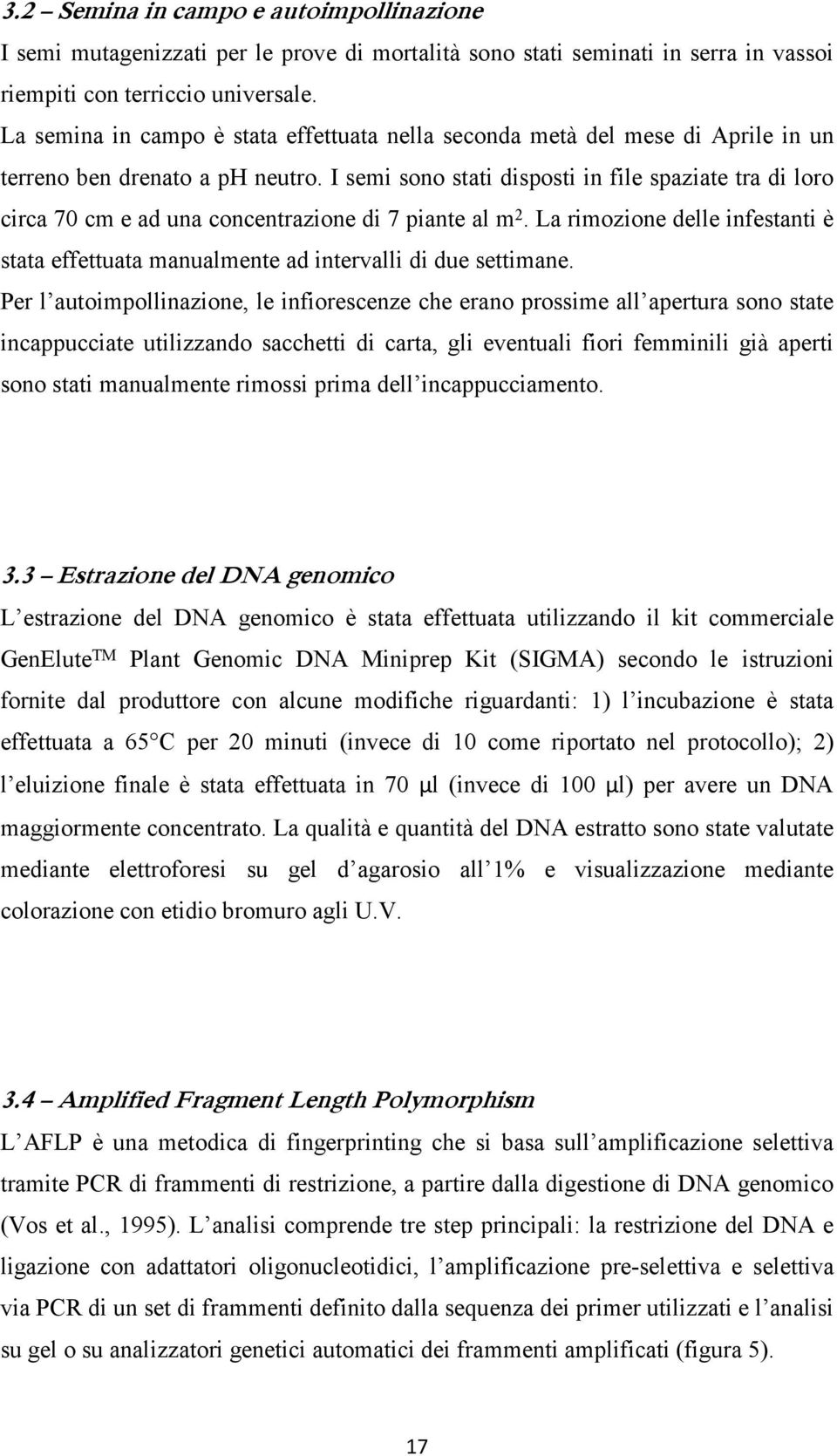 I semi sono stati disposti in file spaziate tra di loro circa 70 cm e ad una concentrazione di 7 piante al m 2.