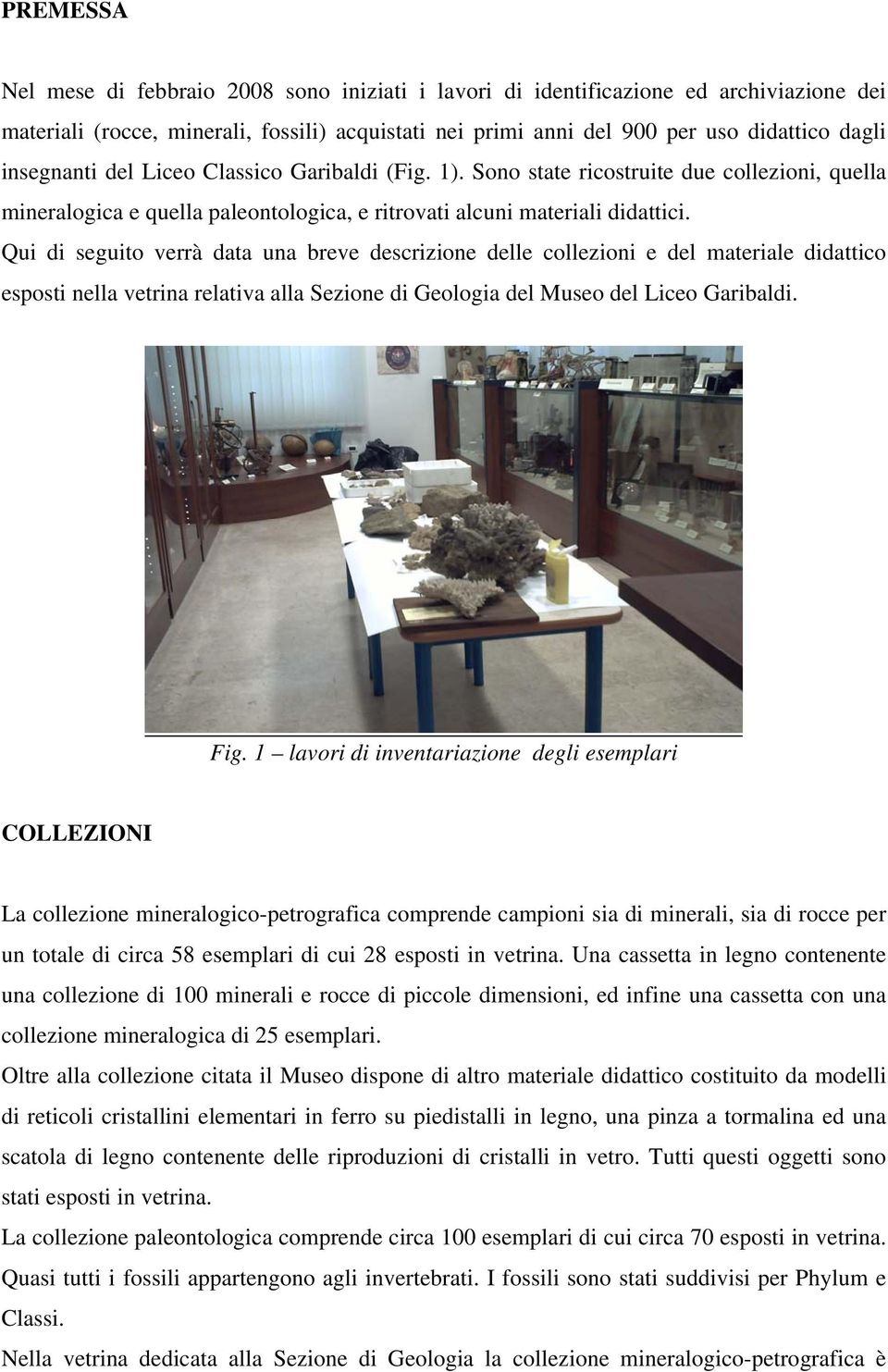 Qui di seguito verrà data una breve descrizione delle collezioni e del materiale didattico esposti nella vetrina relativa alla Sezione di Geologia del Museo del Liceo Garibaldi. Fig.