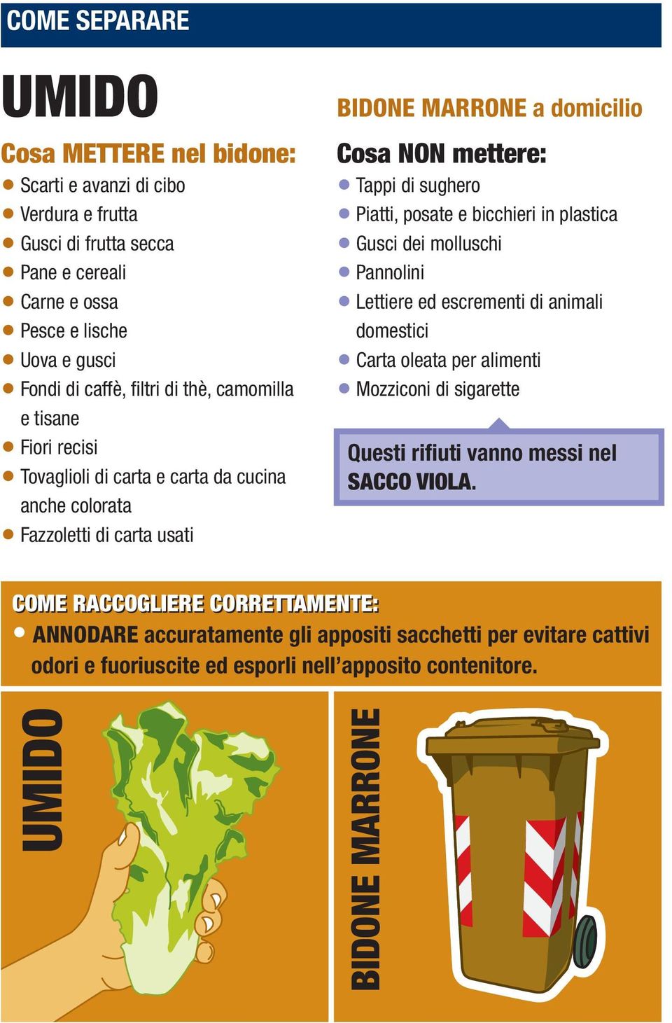 Piatti, posate e bicchieri in plastica Gusci dei molluschi Pannolini Lettiere ed escrementi di animali domestici Carta oleata per alimenti Mozziconi di sigarette Questi rifiuti vanno