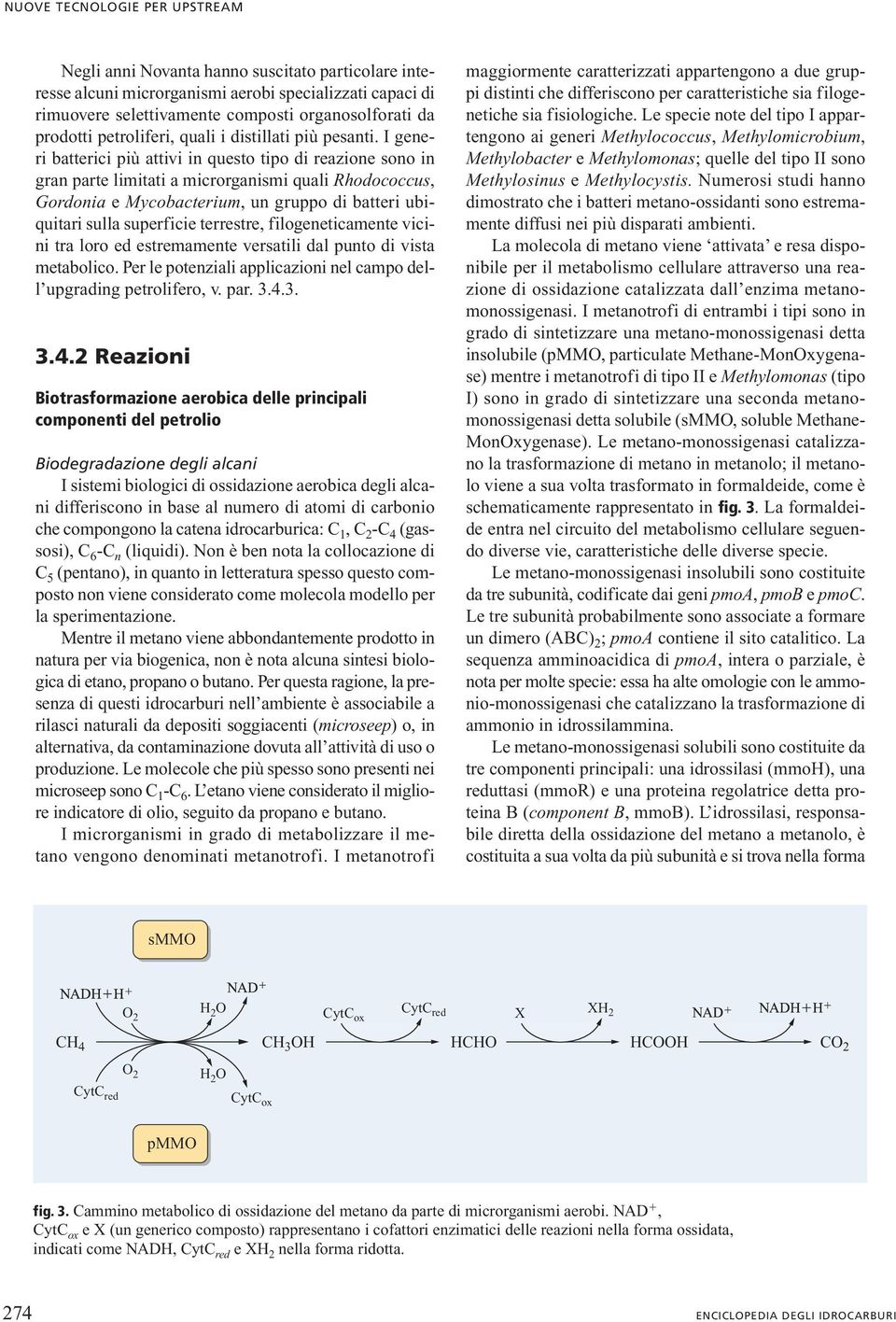 I generi batterici più attivi in questo tipo di reazione sono in gran parte limitati a microrganismi quali Rhodococcus, Gordonia e Mycobacterium, un gruppo di batteri ubiquitari sulla superficie