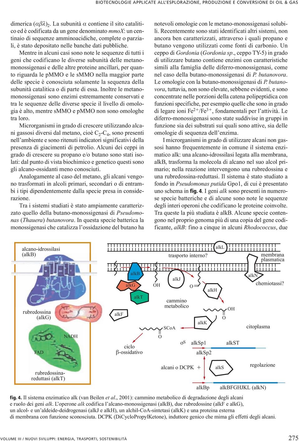 Mentre in alcuni casi sono note le sequenze di tutti i geni che codificano le diverse subunità delle metanomonossigenasi e delle altre proteine ancillari, per quanto riguarda le pmm e le smm nella