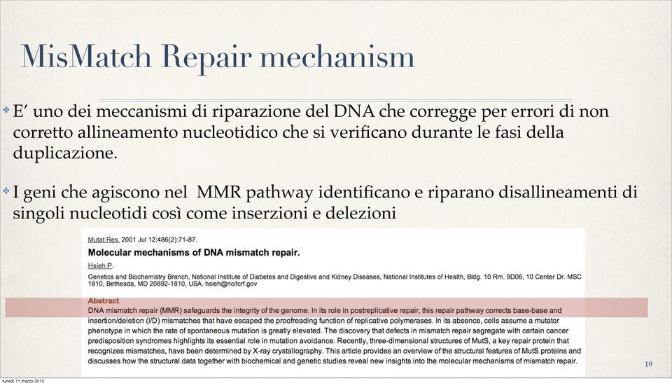 durante le fasi della duplicazione.