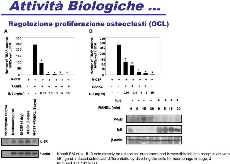 irreversibly inhibits receptor activator kb ligand-induced