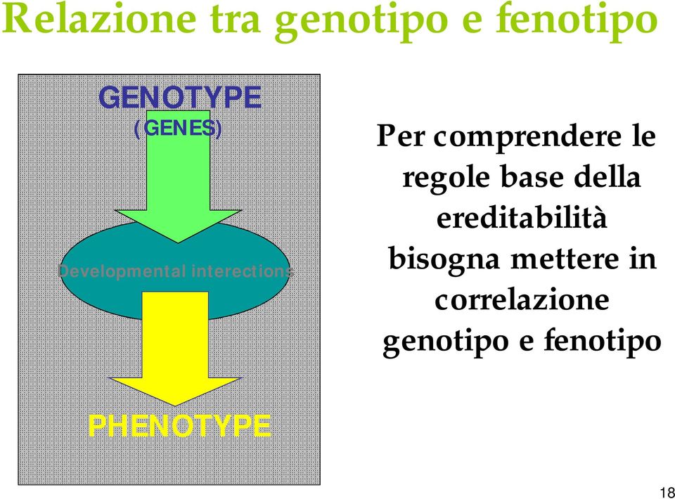 comprendere le regole base della ereditabilità