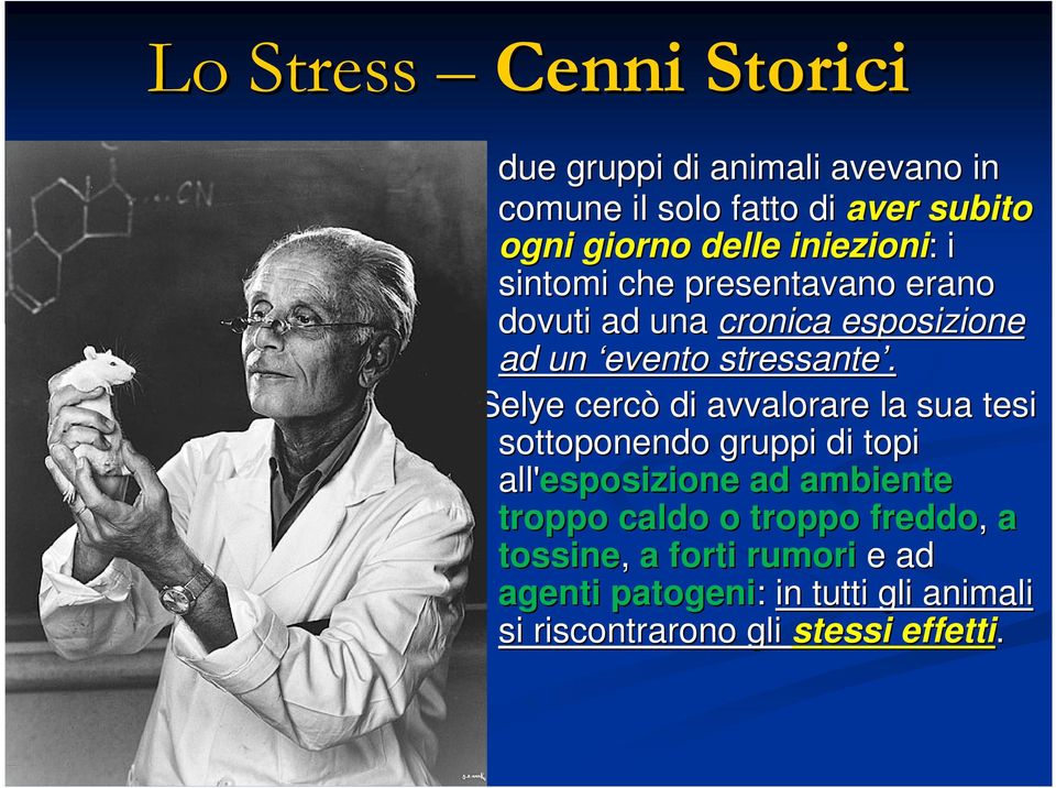 SSelye cercò di avvalorare la sua tesi sottoponendo gruppi di topi all'esposizione ad ambiente troppo caldo o