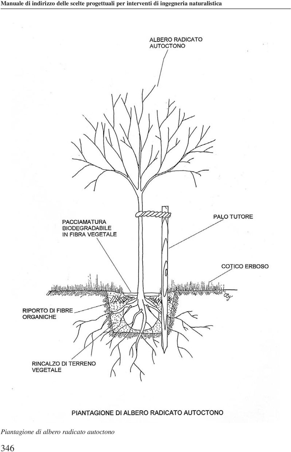 ingegneria naturalistica