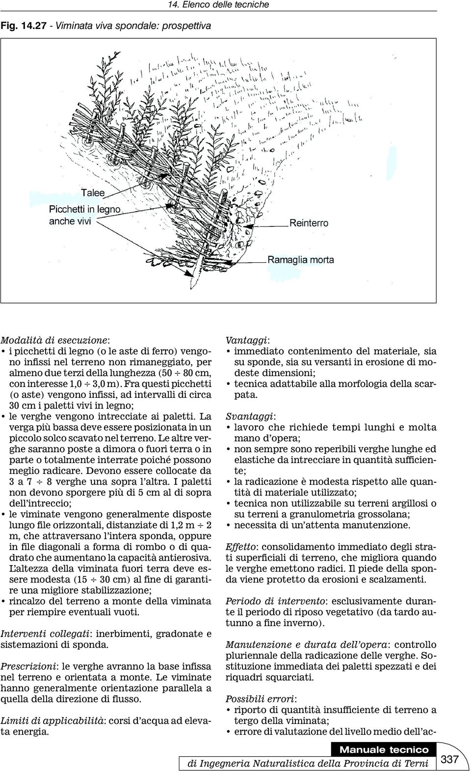 3,0 m). Fra questi picchetti (o aste) vengono infissi, ad intervalli di circa 30 cm i paletti vivi in legno; le verghe vengono intrecciate ai paletti.