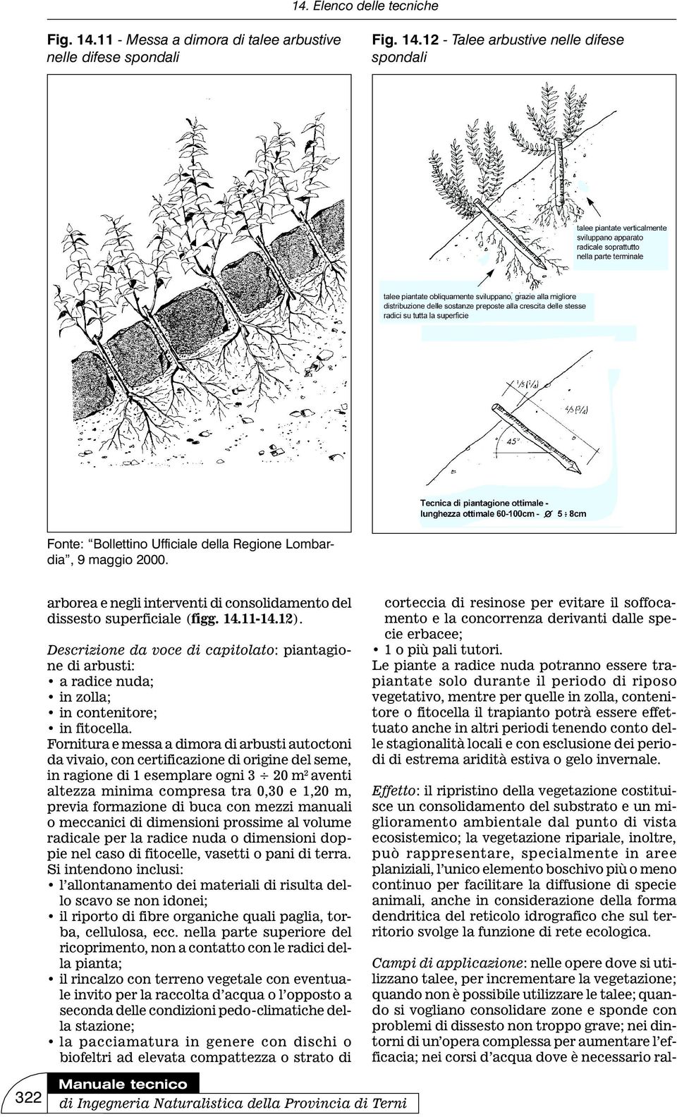 Descrizione da voce di capitolato: piantagione di arbusti: a radice nuda; in zolla; in contenitore; in fitocella.