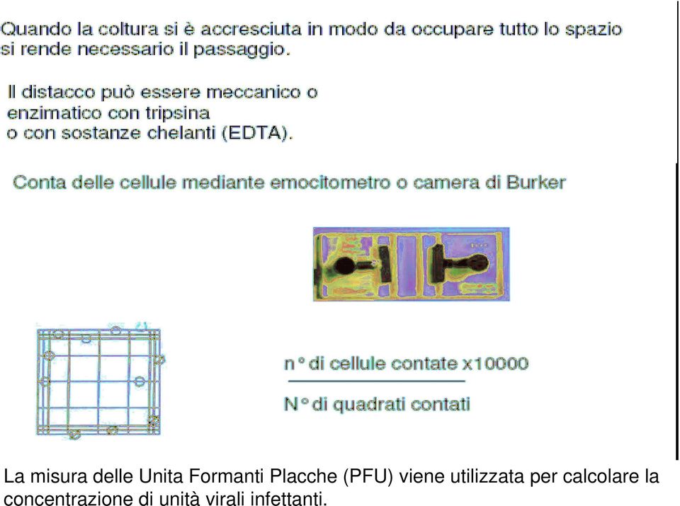 per calcolare la