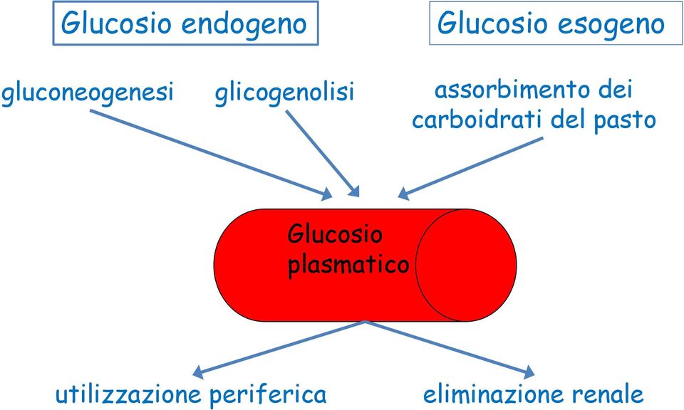 dei carboidrati del pasto Glucosio