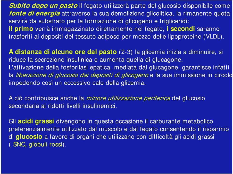 A distanza di alcune ore dal pasto (2-3) la glicemia inizia a diminuire, si riduce la secrezione insulinica e aumenta quella di glucagone.