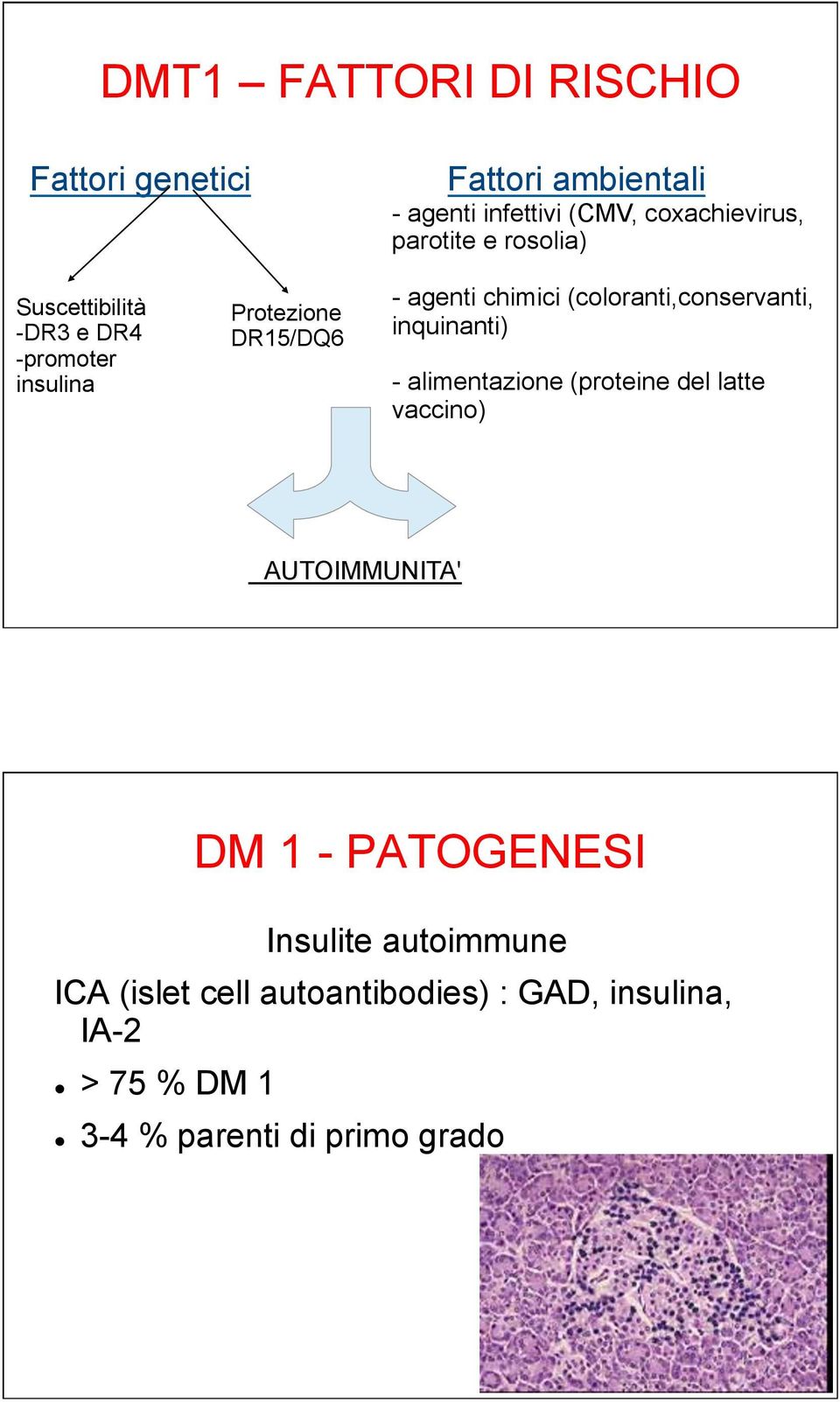 (coloranti,conservanti, inquinanti) - alimentazione (proteine del latte vaccino) AUTOIMMUNITA' DM 1 -