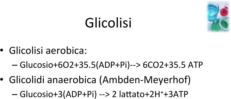 5 ATP Glicolidi anaerobica (Ambden-