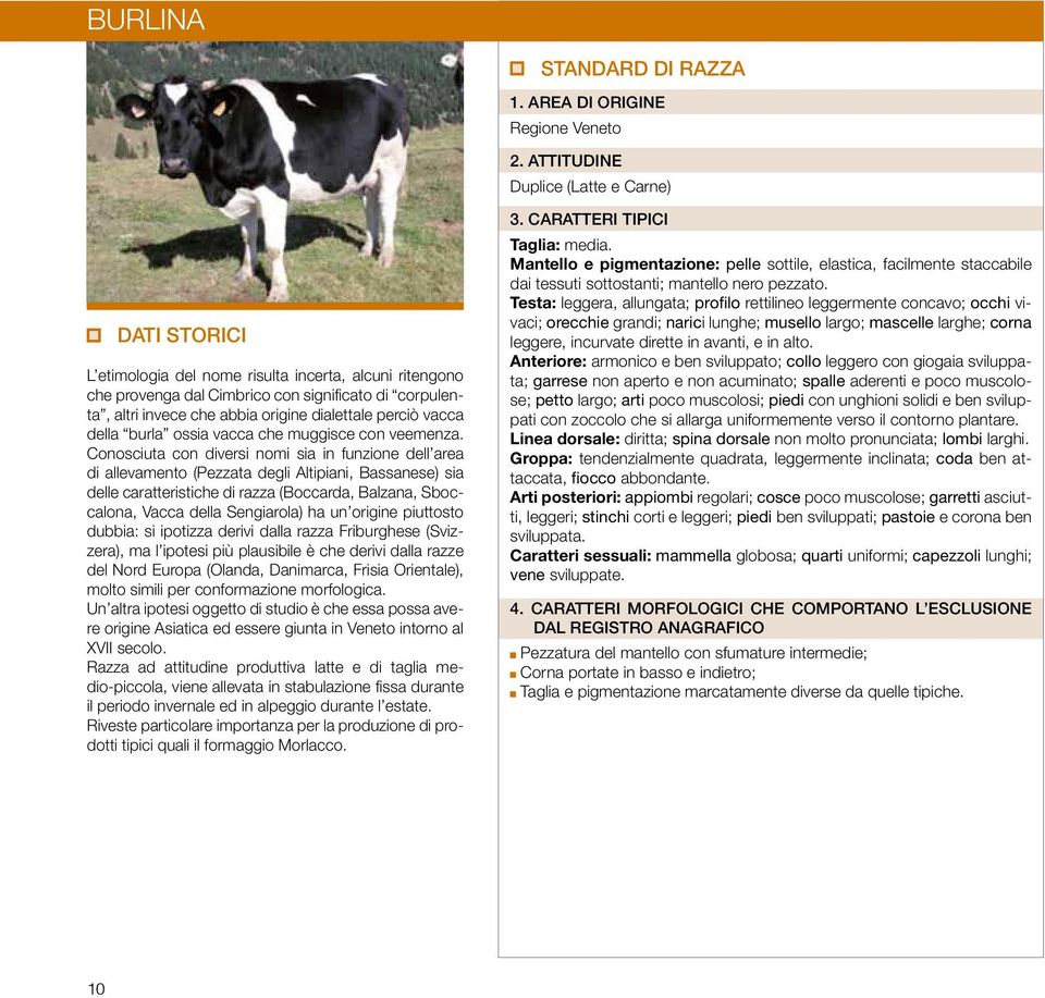 Conosciuta con diversi nomi sia in funzione dell area di allevamento (Pezzata degli Altipiani, Bassanese) sia delle caratteristiche di razza (Boccarda, Balzana, Sboccalona, Vacca della Sengiarola) ha