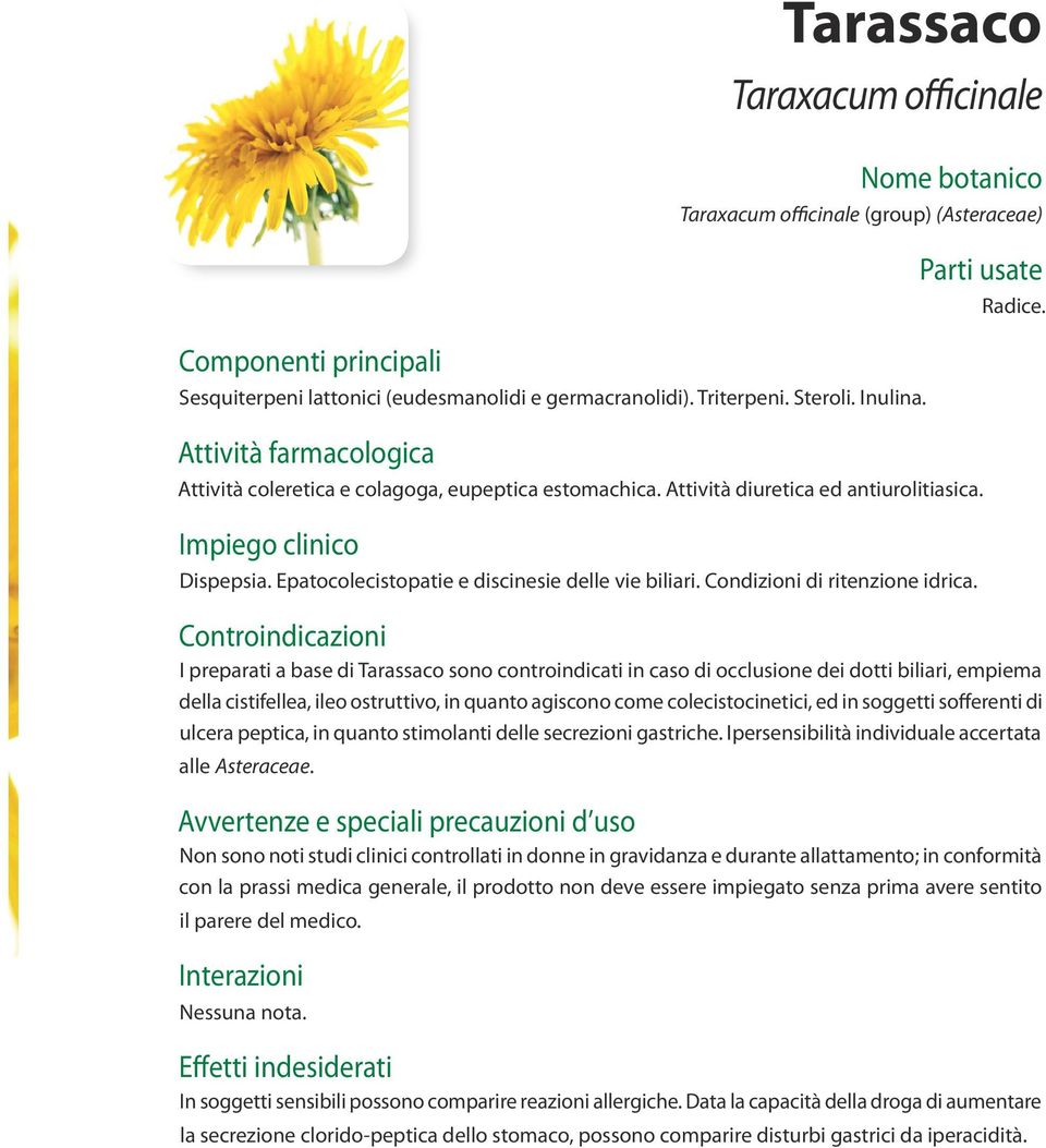 Epatocolecistopatie e discinesie delle vie biliari. Condizioni di ritenzione idrica. Radice.