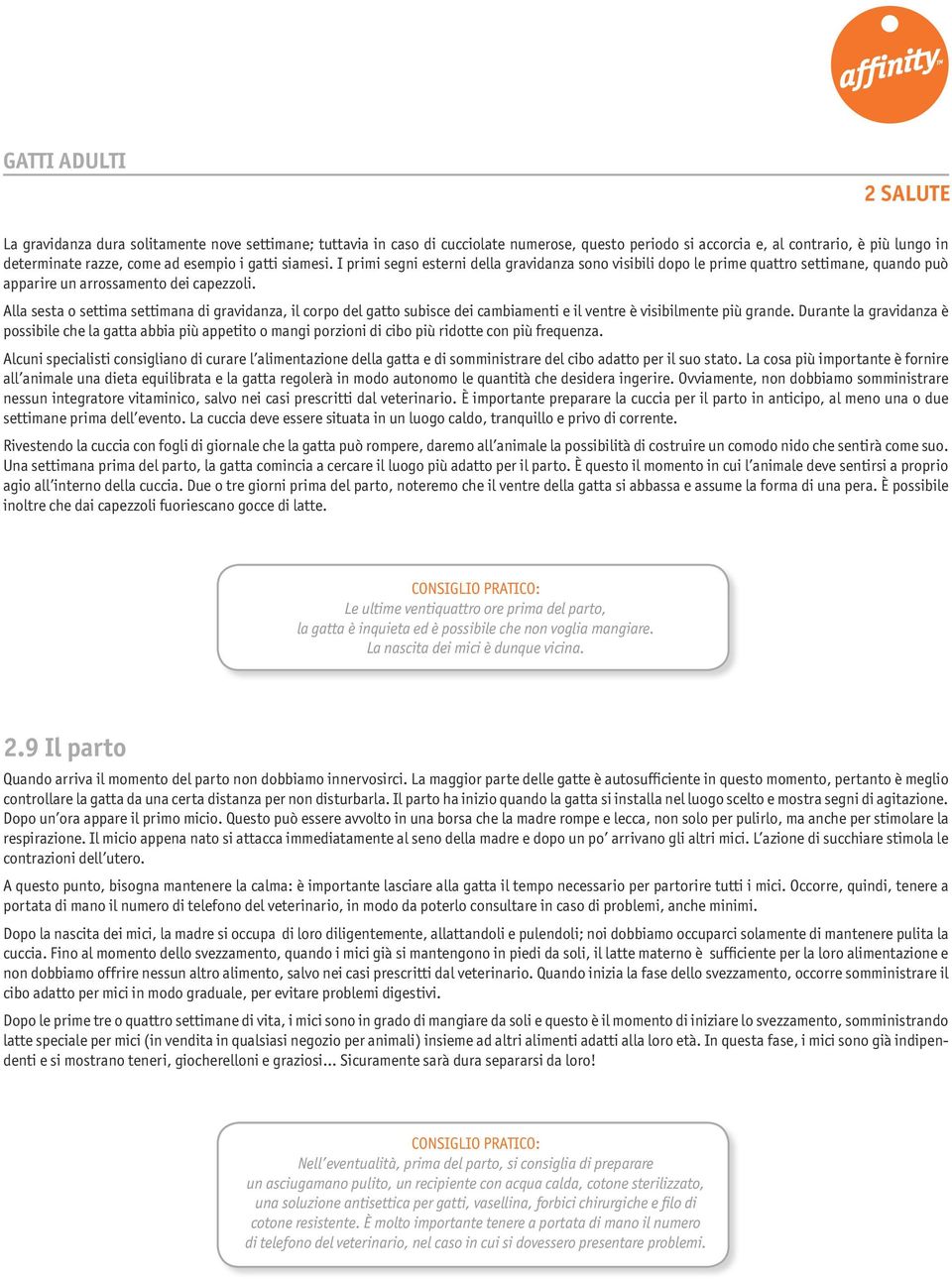 Alla sesta o settima settimana di gravidanza, il corpo del gatto subisce dei cambiamenti e il ventre è visibilmente più grande.