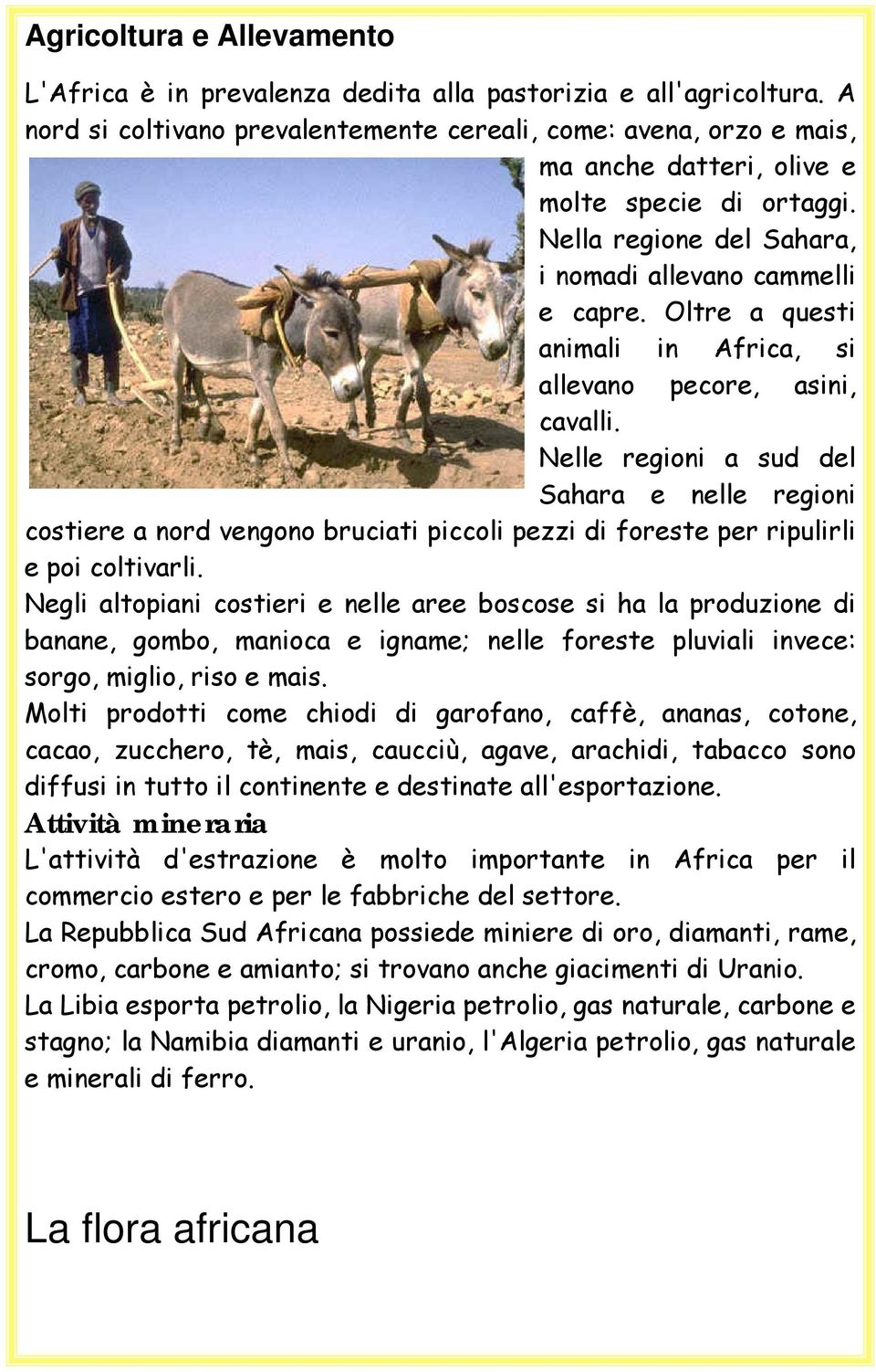 Oltre a questi animali in Africa, si allevano pecore, asini, cavalli.