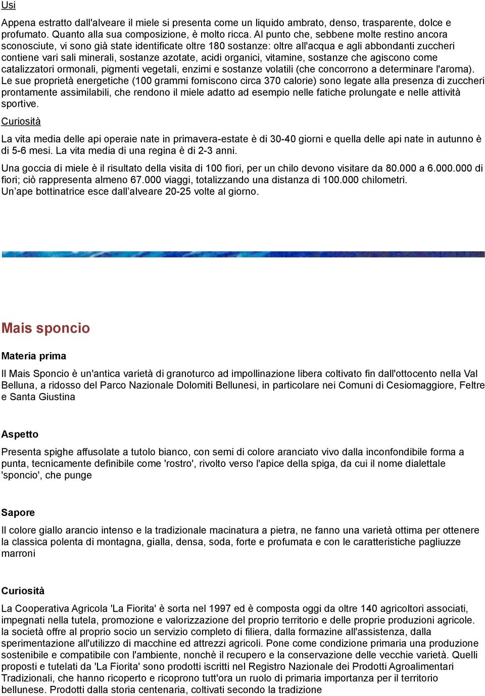 acidi organici, vitamine, sostanze che agiscono come catalizzatori ormonali, pigmenti vegetali, enzimi e sostanze volatili (che concorrono a determinare l'aroma).