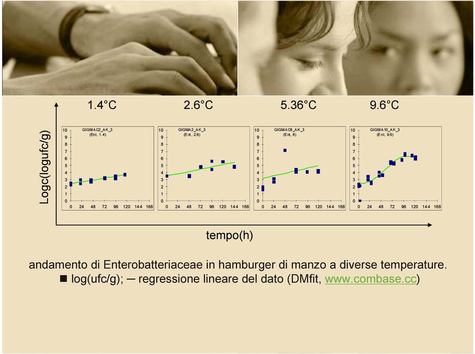 ) tempo(h) andamento di Enterobatteriaceae in hamburger di