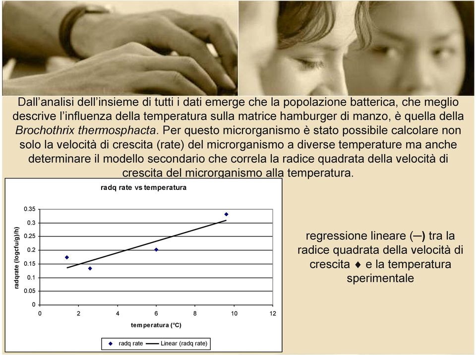 Per questo microrganismo è stato possibile calcolare non solo la velocità di crescita (rate) del microrganismo a diverse temperature ma anche determinare il modello